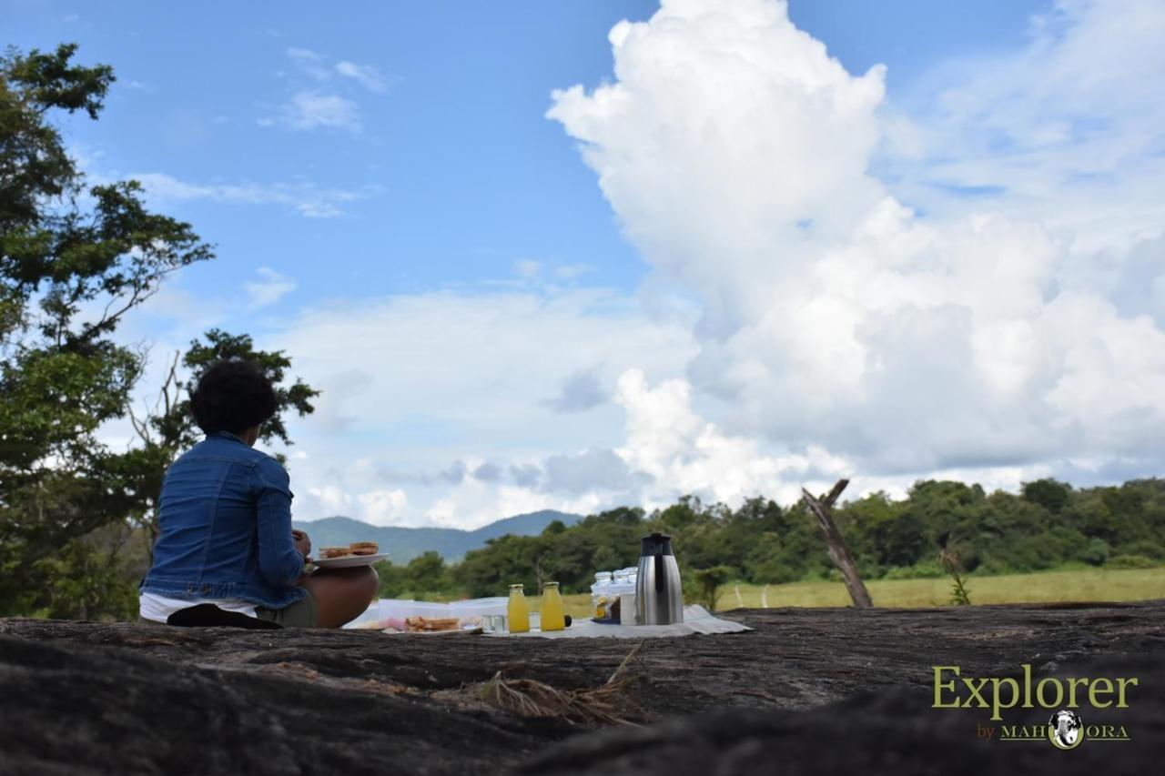 Explorer By Eco Team - Wasgamuwa National Park Eksteriør bilde